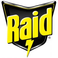 Raid